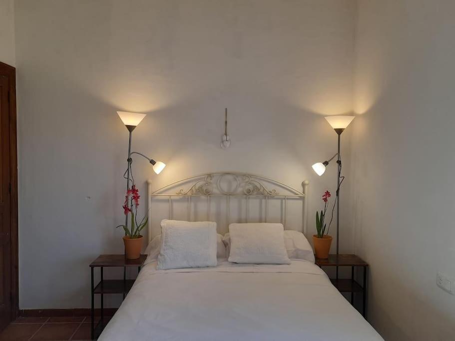Casa De Las Lavandas, Ávila Esterno foto